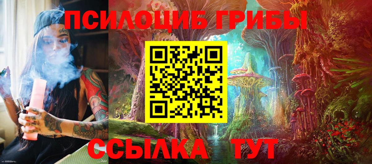 Углич  как найти наркотики  Псилоцибиновые грибы мухоморы  Вход с VPN  Галлюциногенные грибы Psilocybine cubensis 