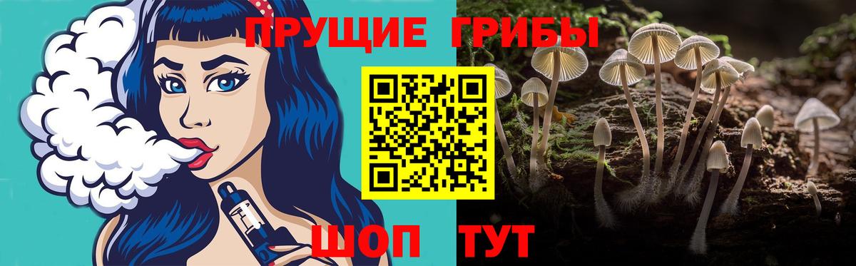 Псилоцибиновые грибы мухоморы Углич